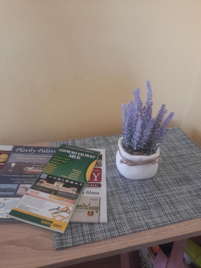 Apartment Sandra Valtice