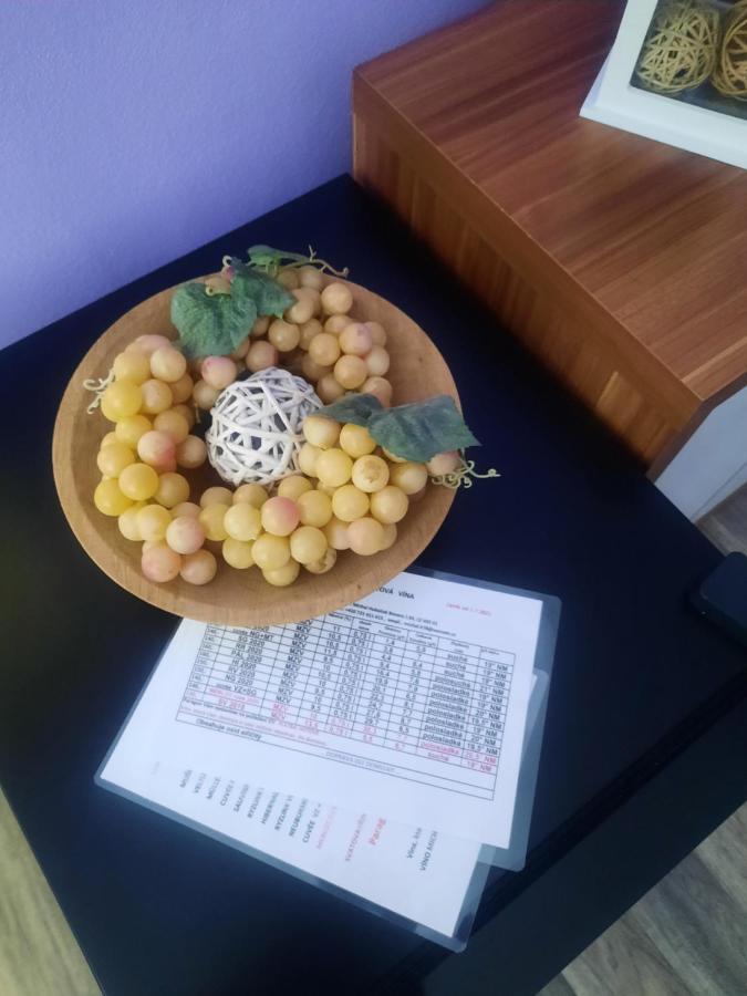 Sandra Apartment Valtice